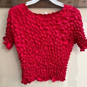 Puckered‎ Blue Red Crop Top
